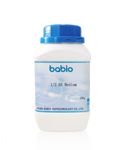 1/2 B5 Medium