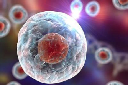 Babio lanserar Giemsa Stain B-lösning av hög kvalitet för avancerad cytogenetisk och hematologisk diagnostik