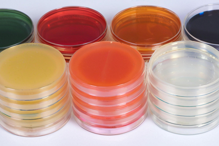 Sapouraud Dextrose Agar (SDA) av hög kvalitet av Babio