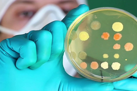 Babio lanserar högkvalitativ lysande grön laktosgallbuljong för mat och vattentestning