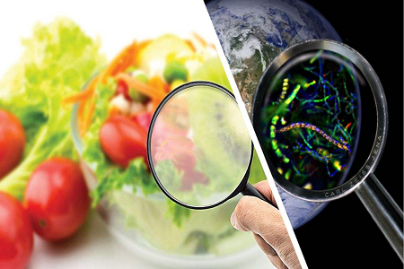 BABIO lanserar Aflatoxin B1 Rapid Test Cassette för Global Food Safety Control