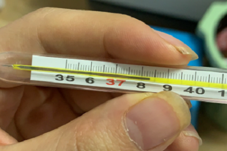 Rapid Antigen Combo Test: COVID-19, Flu A/B och RSV
