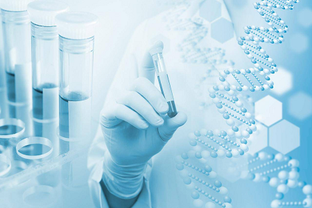 Agar medium B (kasein sojabönor smältagar) – ett pålitligt val för mikrobiell kultur